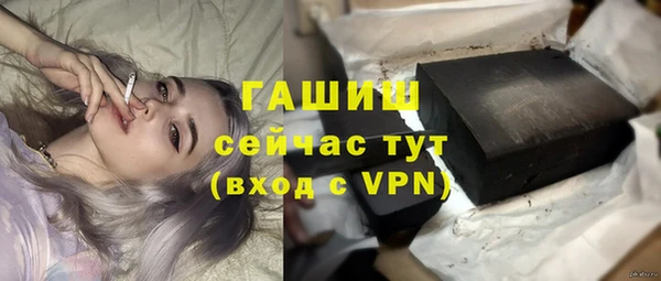 гидра Саяногорск