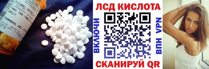 Купить закладки  Кудрово  ЛСД экстази ecstasy 