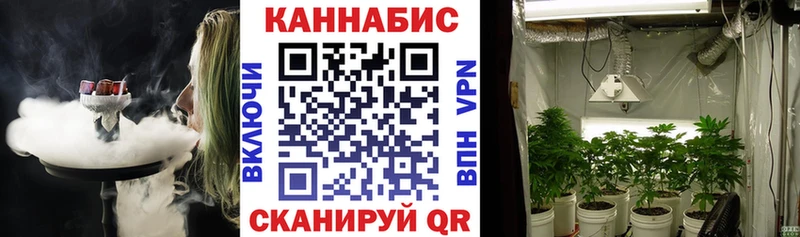 Купить где  Кудрово  Канабис SATIVA & INDICA 